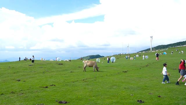 ​乌蒙大草原景区：迎来避暑旅游高峰，日均接待游客1万多人次
