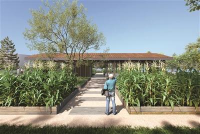 浙江温州建了个这么简单的“美国园”，有啥看头？