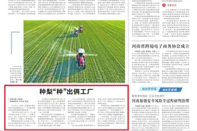 鲁山县：种梨“种”出俩工厂图片