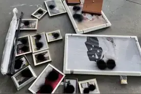 感情结束后，他们用100块钱粉碎婚纱照图片