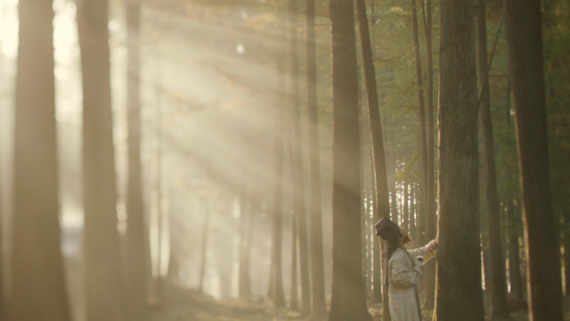 向世界讲述“一叶禅茶的千年之旅” 纪录片《大径山》将于明天登陆海外中心