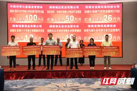 “结合新化所需、尽企业所能”知名青年湘商助力新化乡村振兴图片