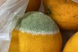 马上停止用这种瓶子，能析出有害物质，会损害肝脏，很多人还在用图片