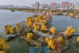 一带一核六区六十景！大明湖“上新”，荷柳新画卷令人期待图片