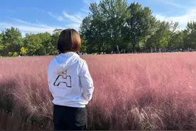 人到中年，最好的活法，不过两个字（深度好文）图片