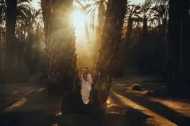 刘丰老师：在修炼的路上，是选择一门深入还是多元汇通？（三）图片