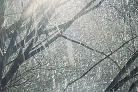 日照这场雪哪里最大？还下吗？最新雪情和预报来了！图片