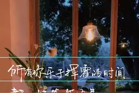 被文字治愈的瞬间 | 总有人间一两风，填我十万八千梦图片