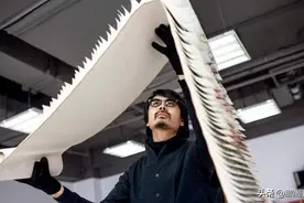 河北青年不考铁饭碗，花13年学会一项手艺，全世界很少有人会图片