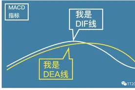 MACD是个啥图片