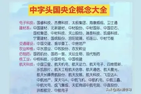 中字头央国企，半导体，全球第一，垄断龙头等大汇总图片