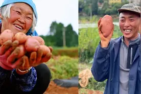 农民钱袋子鼓起来，拼多多用了千方百计图片