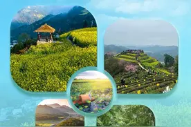 “植”此青绿 赏四季安徽皆入画图片