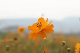 异性之间，出现3个行为，就是越界，别傻傻不知图片