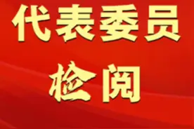 全国人大代表张淑芬：检察履职回应人民群众对优美生态环境新期待图片