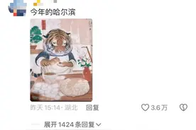 “尔滨，你可真是一天一个新花样啊！”图片