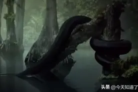 真实存在过的五大远古巨兽,一个比一个恐怖!图片