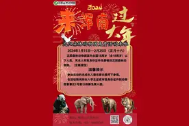 这些人可以免费玩！沈阳森林动物园最新发布——图片