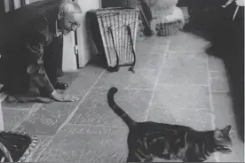 《悉达多》：人生就是一场修行，认识自己，成为自己，放过自己图片