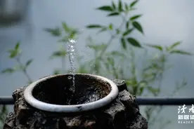 真正聪明的人，都懂得“示弱”图片