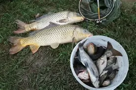 钓鱼与天气的关系，什么天气能爆护？看看钓鱼老手经验总结图片