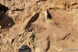 从大禹治水划分九州，看我国古代各地区经济发达程度图片