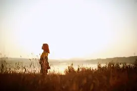 2024年必看的4部TED演讲，彻底治好了我的精神内耗图片