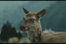 美国爆发丧尸病毒，蚕食同类或成病因，有食人族分吃人肉后死亡图片