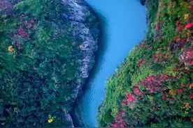 白鹤滩大坝为何不建的更高点？图片