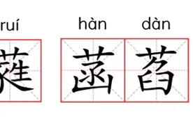 葳蕤菡萏 祉猷并茂图片