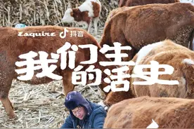 当兽医30年，他离不开的东北乡村，充满有生命力的细节图片