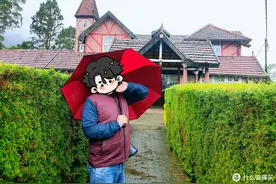 免签的斯里兰卡值得去吗？包车五日游分享！图片