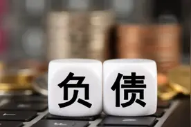 招揽“职业背债人”？必须遏制这头“灰犀牛”图片