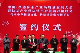 中国·孝感茶产业高质量发展大会成功举办图片