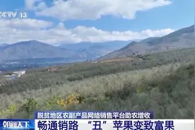 “丑”苹果变致富果！脱贫地区“土特产”这样打开销路→图片