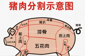 猪肉部位科普图片