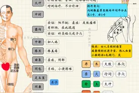 倪海厦讲针灸21—足厥阴肝经图片