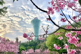 厦门岛内十大人气公园图片