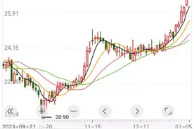 藏格矿业/紫金矿业之巨龙铜业图片