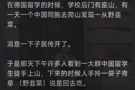 中国人到底有多能吃？留学能把外国人吃懵，中国饮食文化博大精深图片
