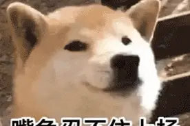 可爱表情包 | 嘴角忍不住上扬图片