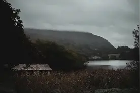 再读卡夫卡的《在流放地》：专制社会中的高压统治和人的臣服图片