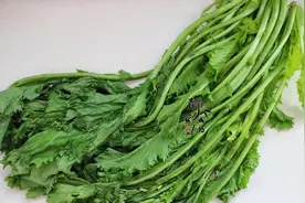 咸菜中的王者——雪里蕻图片