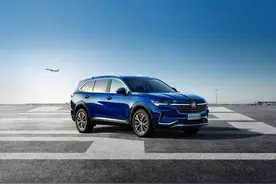 令人又恨又爱的昂科威图片