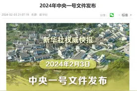 2024年中央一号文件发布！解决“农村光棍”结婚难问题迫在眉睫！图片