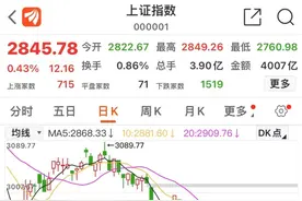 A股2800点保卫战：胡锡进“义无反顾”补仓，李大霄称“生命比股票更重要”图片