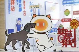 流浪猫泛滥该怎么管？普陀这个居民区“宠”爱有“方”图片