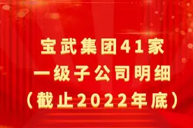 宝武集团41家一级子公司明细（截止2022年底）图片