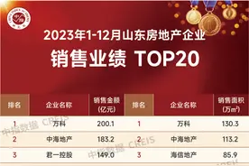 2023年山东房地产企业销售业绩TOP20图片