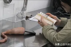 日本的六个奇葩发明，特殊构造一度卖到脱销，国人直呼接受不了！图片